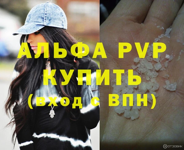 спайс Богданович