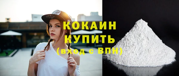 спайс Богданович
