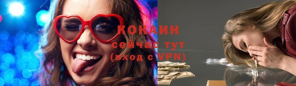 дмт Богородск
