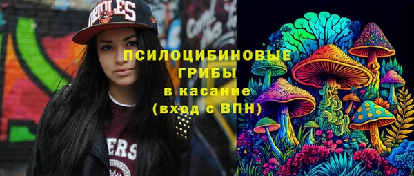 меф Богородицк