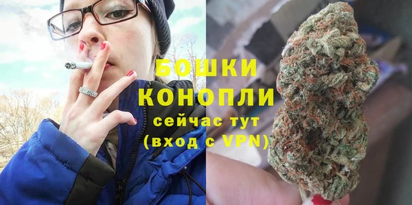 дмт Богородск