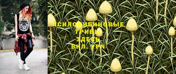 спайс Богданович