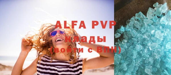 спайс Богданович