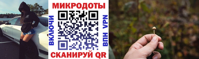 mega ТОР  купить наркотики цена  Клин  Галлюциногенные грибы мухоморы 