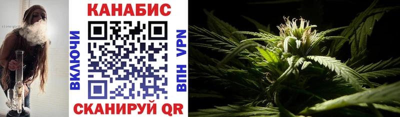 Конопля SATIVA & INDICA  наркотики  Клин 